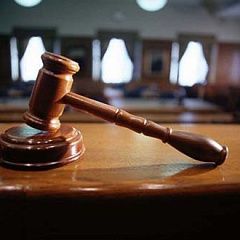 Порядок назначения и проведения экспертизы Порядок назначения и проведения экспертизы